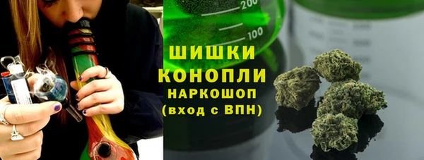 гидра Коряжма