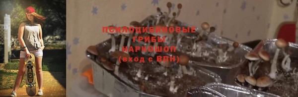 MDMA Каменка