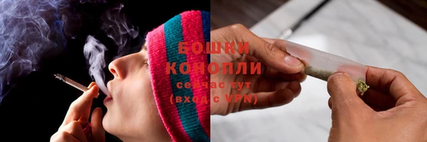 PSILOCYBIN Корсаков