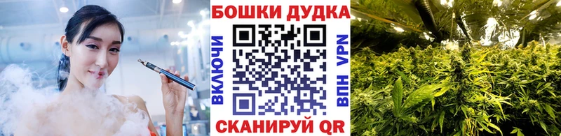 Купить  Бронницы  Бошки марихуана SATIVA & INDICA 